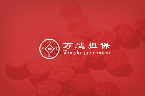萬達擔(dān)保公司網(wǎng)站建設(shè)